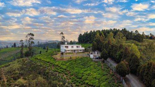 Willostays Green Valley villa ooty