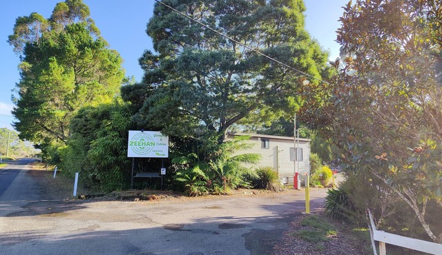 Zeehan Bush Camp in Zeehan