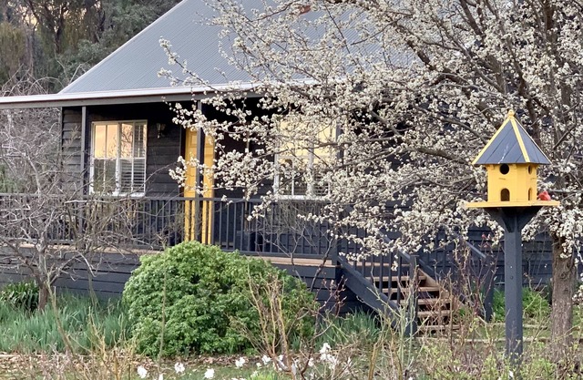 Cottage 