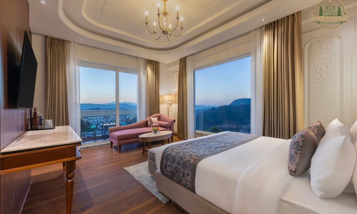 Shimla Hotel | The Forest