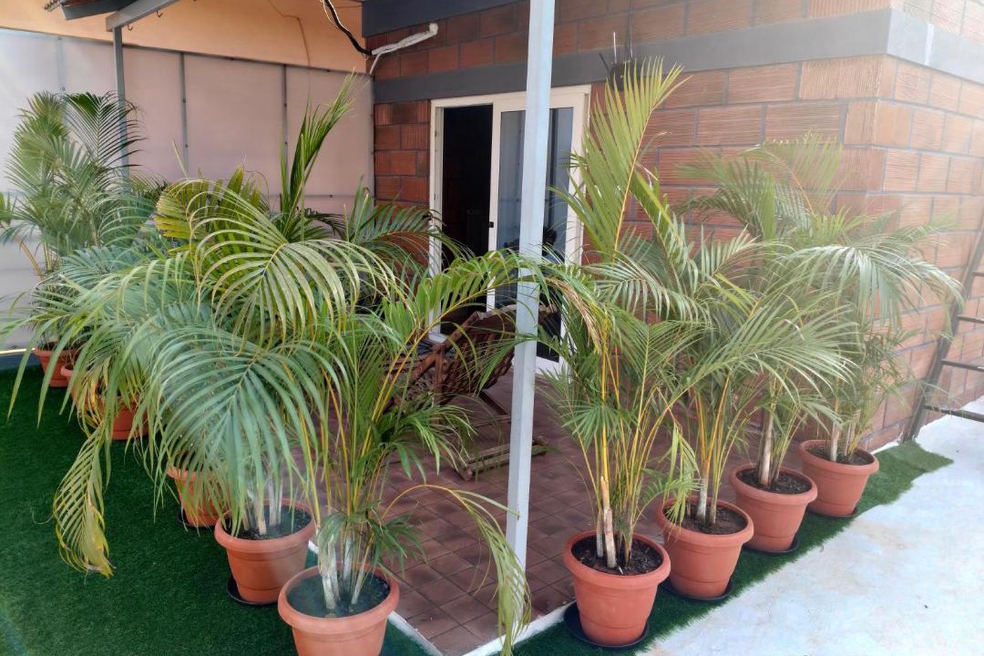 Narasapura House | Rustic Roots Inn