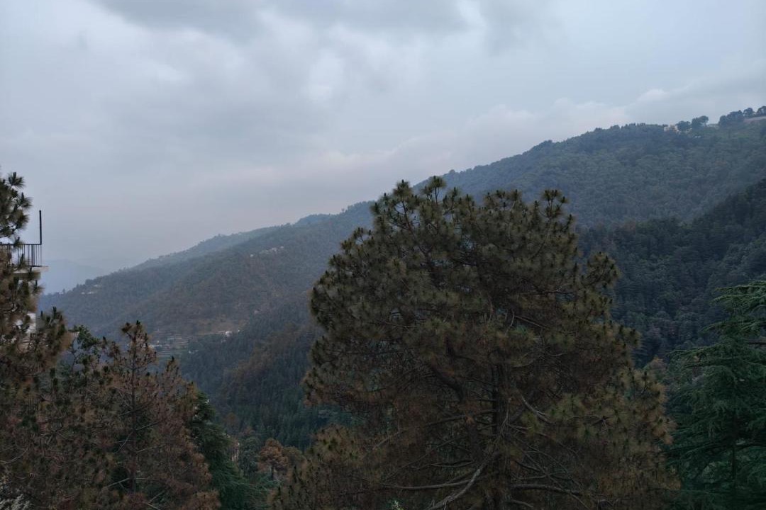 Chail Hotel | Hotel Summer Hill