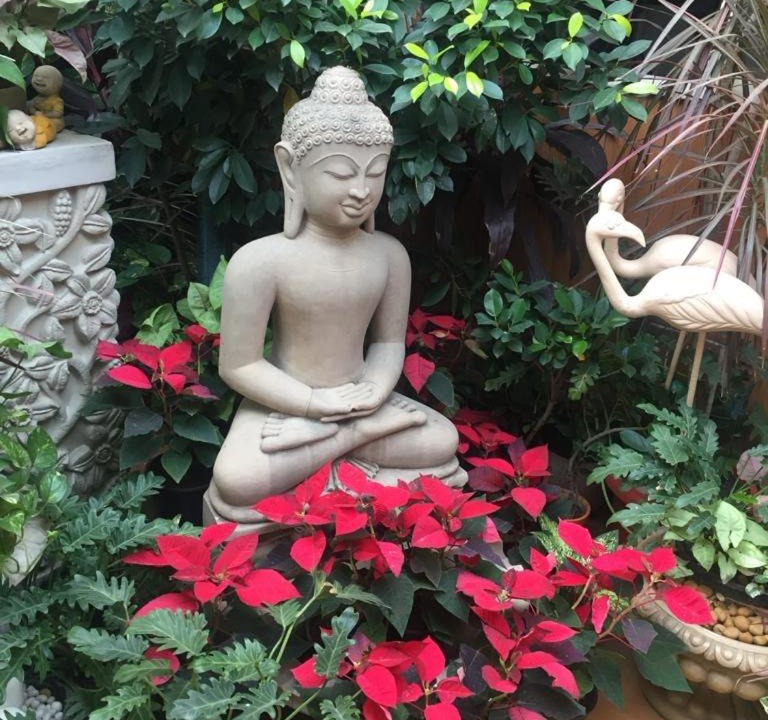 Safdarjung Enclave House | On the House homestay