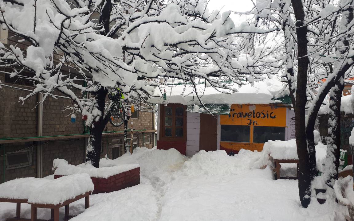 Photo of Others in Old Manali