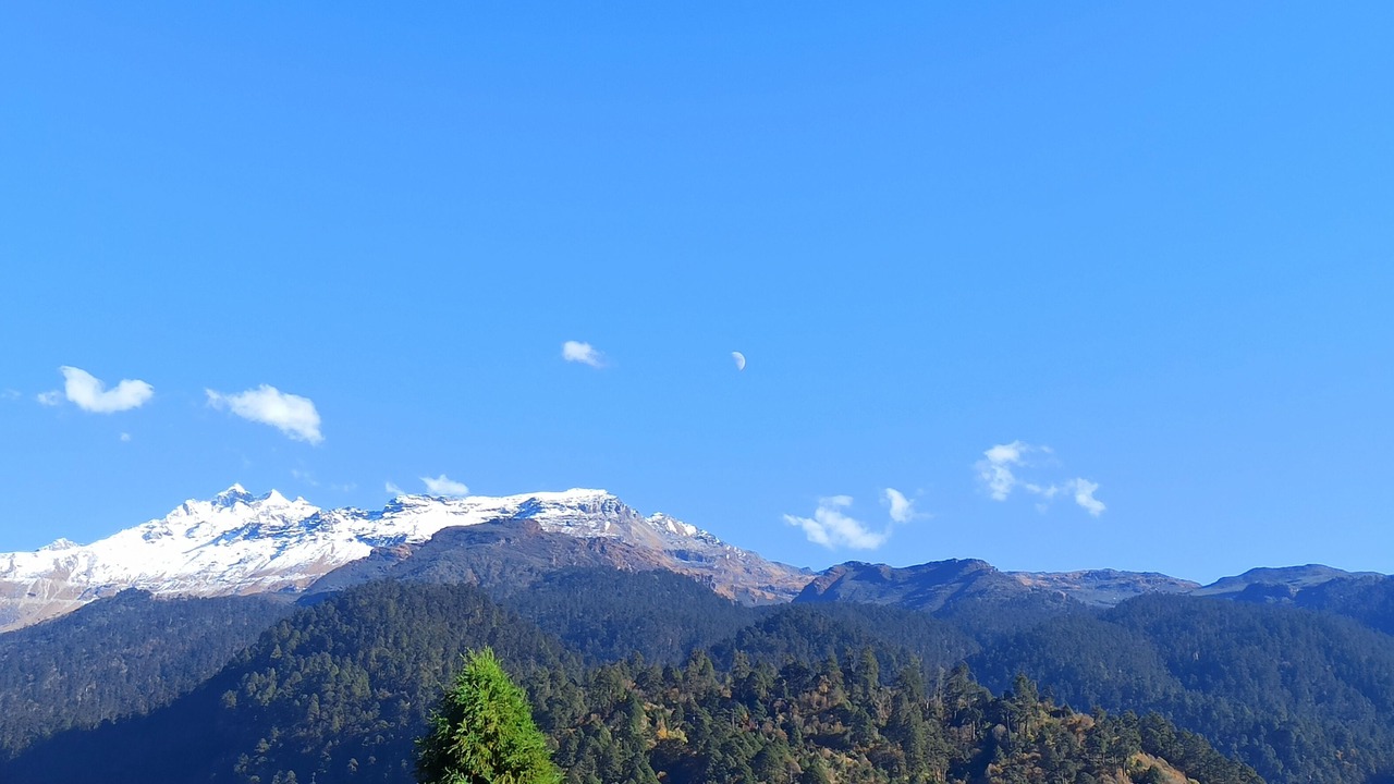 Photo of Others in Lachung