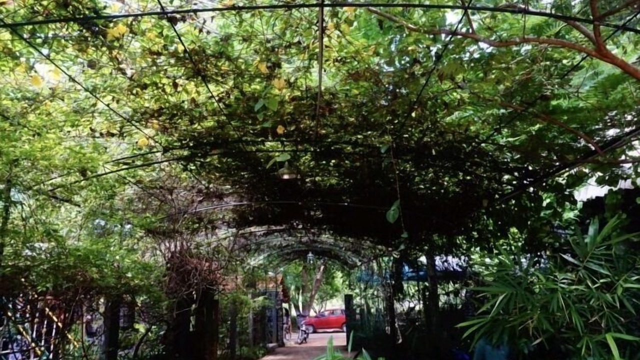 Photo of Outdoor in Auroville