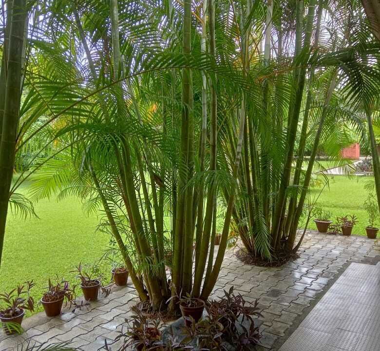 Photo of Outdoor in Tinsukia