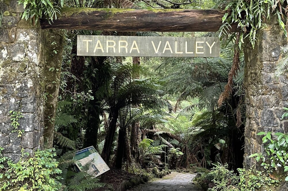 Photo of Outdoor in Tarra Valley