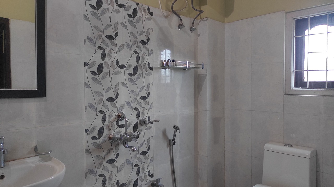 Photo of Bathroom in Naharlagun