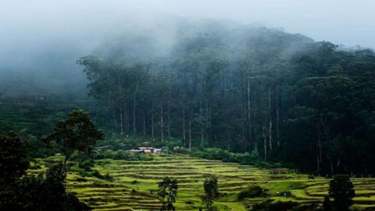 Photo of Outdoor in Thalayathimund