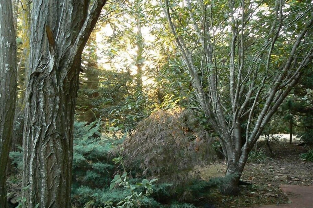 Photo of Others in Woodend North