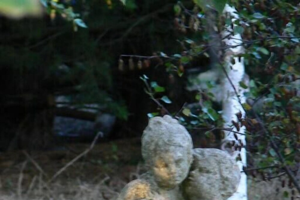 Photo of Others in Woodend North