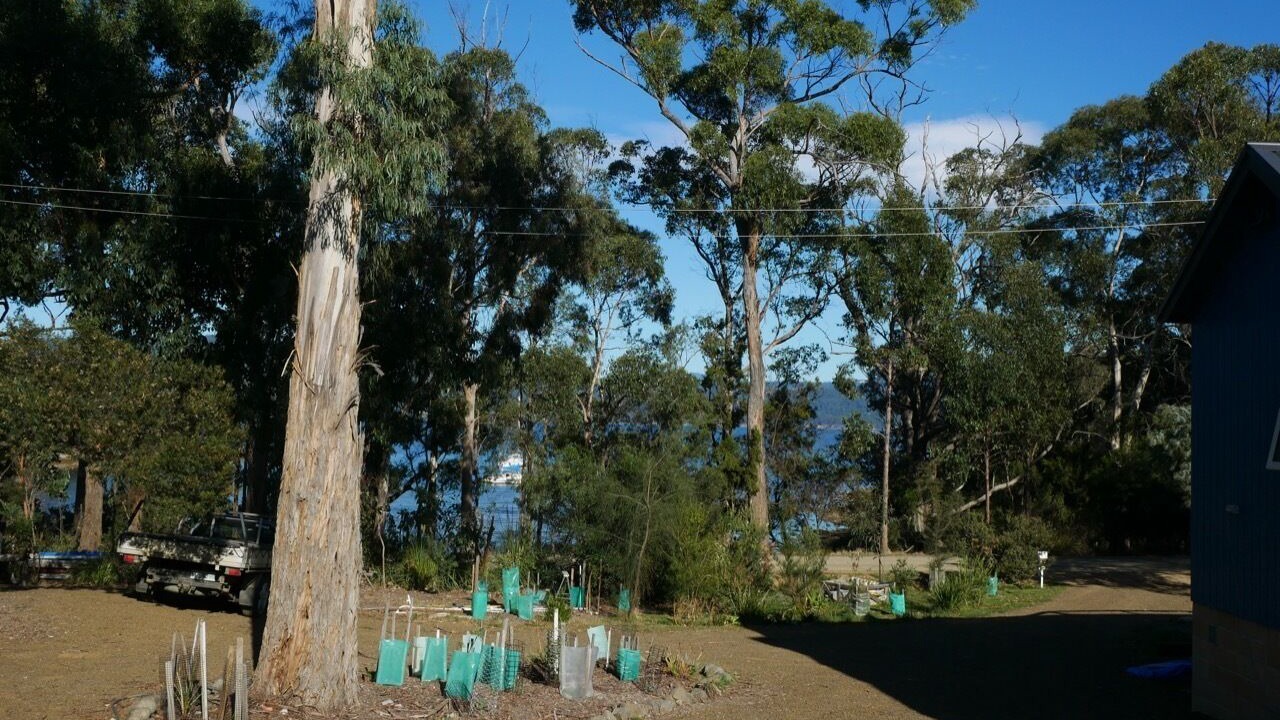 Photo of Outdoor in Abels Bay