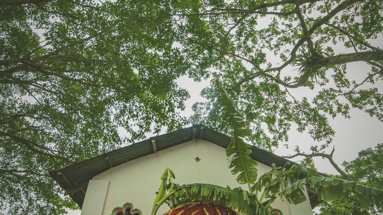 Photo of Outdoor in Tezpur
