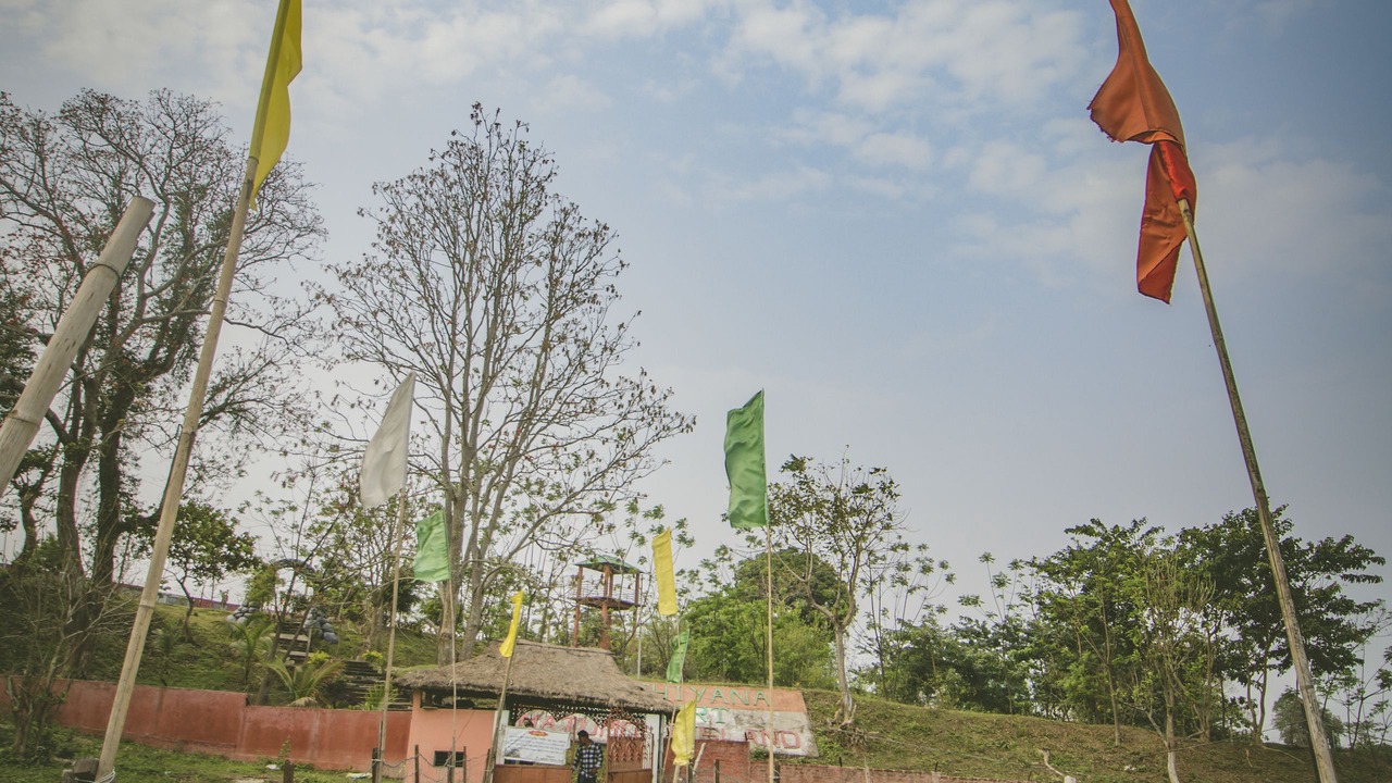 Photo of Others in Tezpur