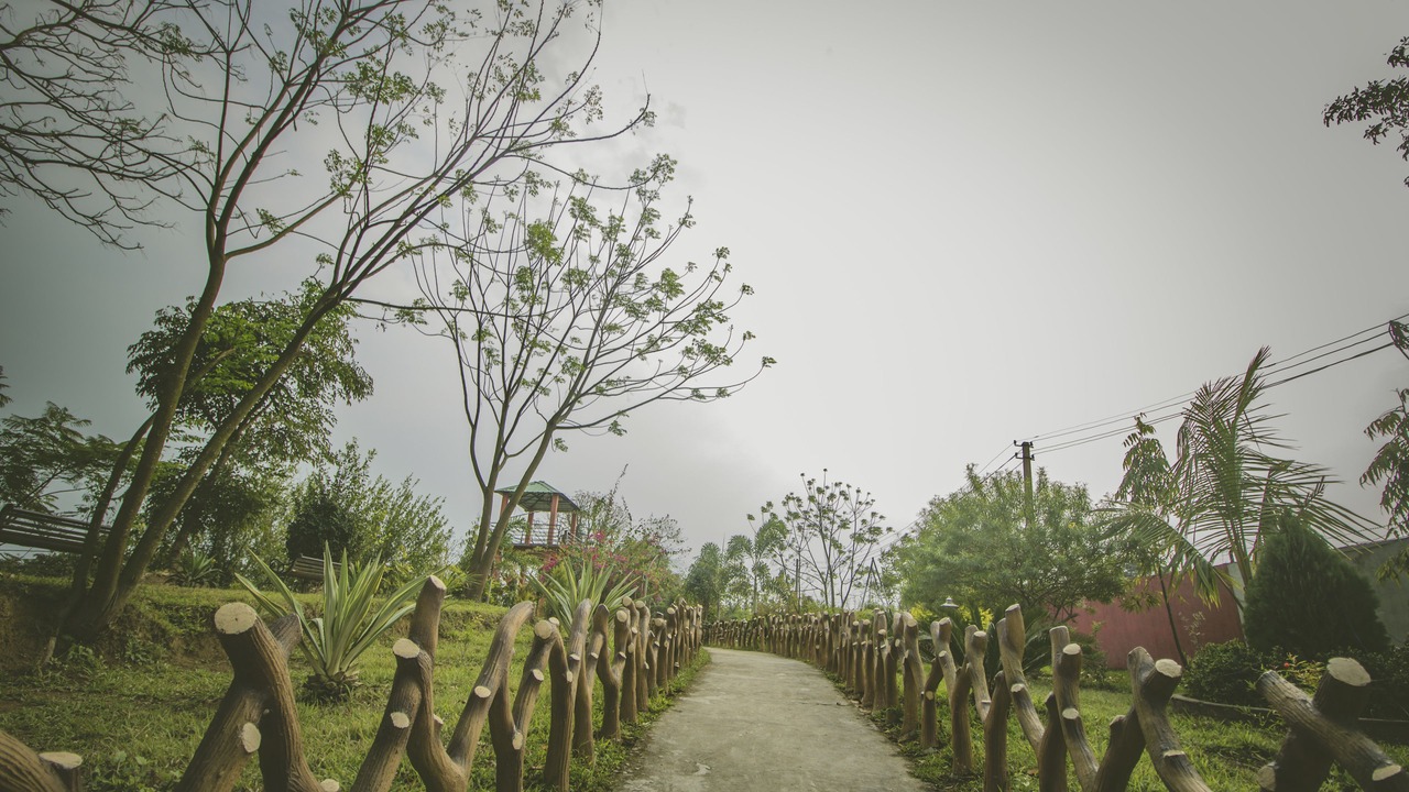 Photo of Outdoor in Tezpur