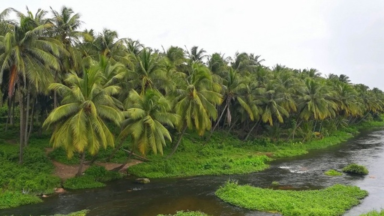 Photo of Patio Balcony in Anaimalai