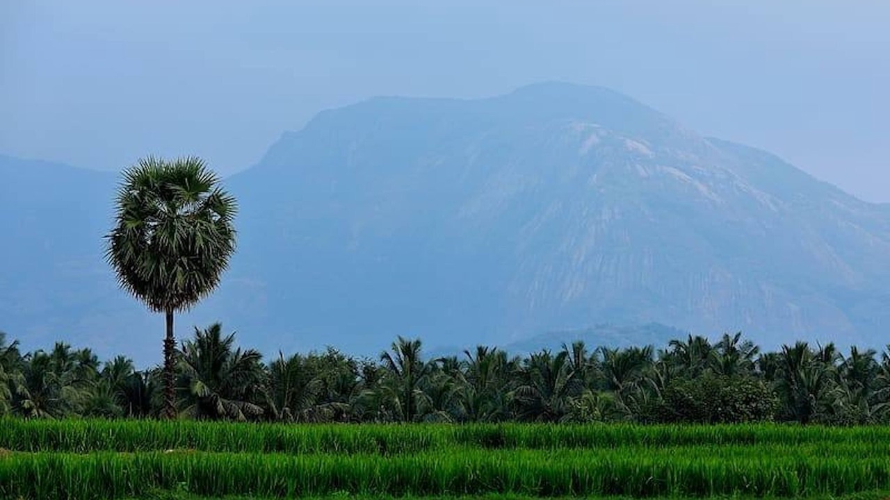 Photo of Patio Balcony in Anaimalai