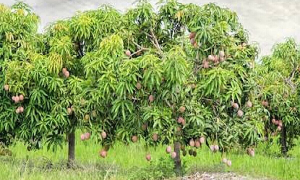 Photo of Outdoor in Karjat