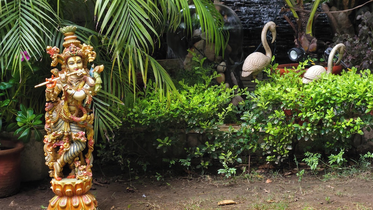 Photo of Outdoor in Hauz Khas