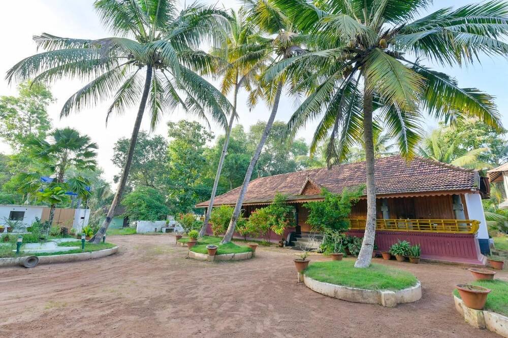 Photo of Outdoor in Alappuzha