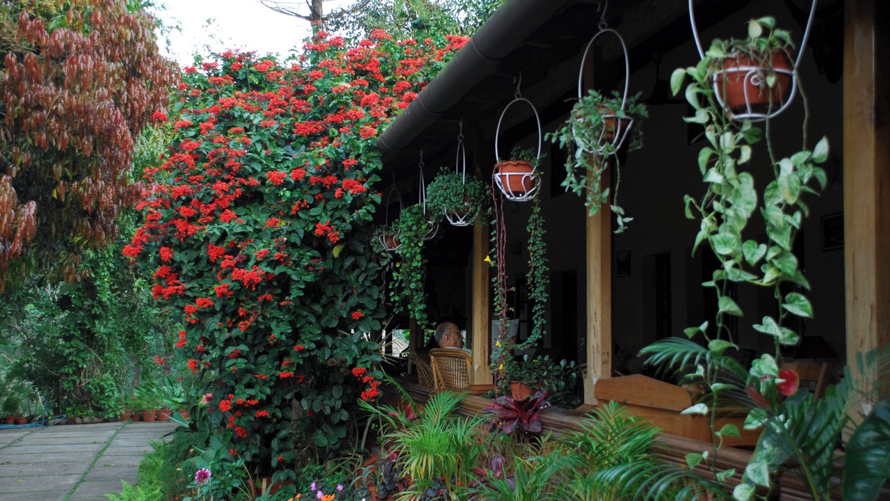 Photo of Outdoor in Kolagappara