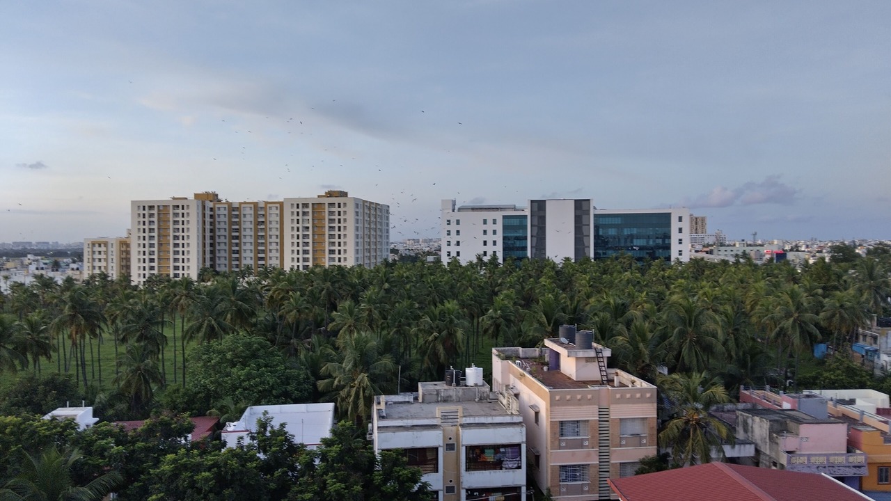 Photo of Outdoor in Thoraipakkam