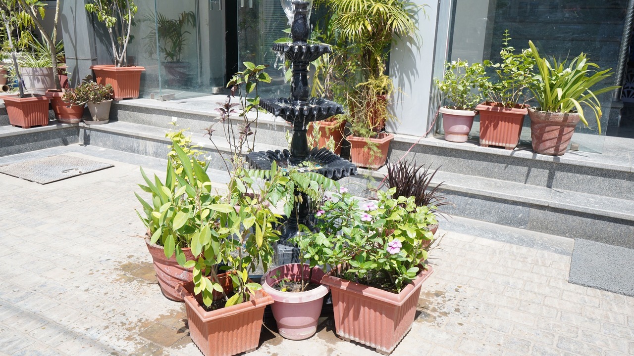 Photo of Outdoor in Sanganer