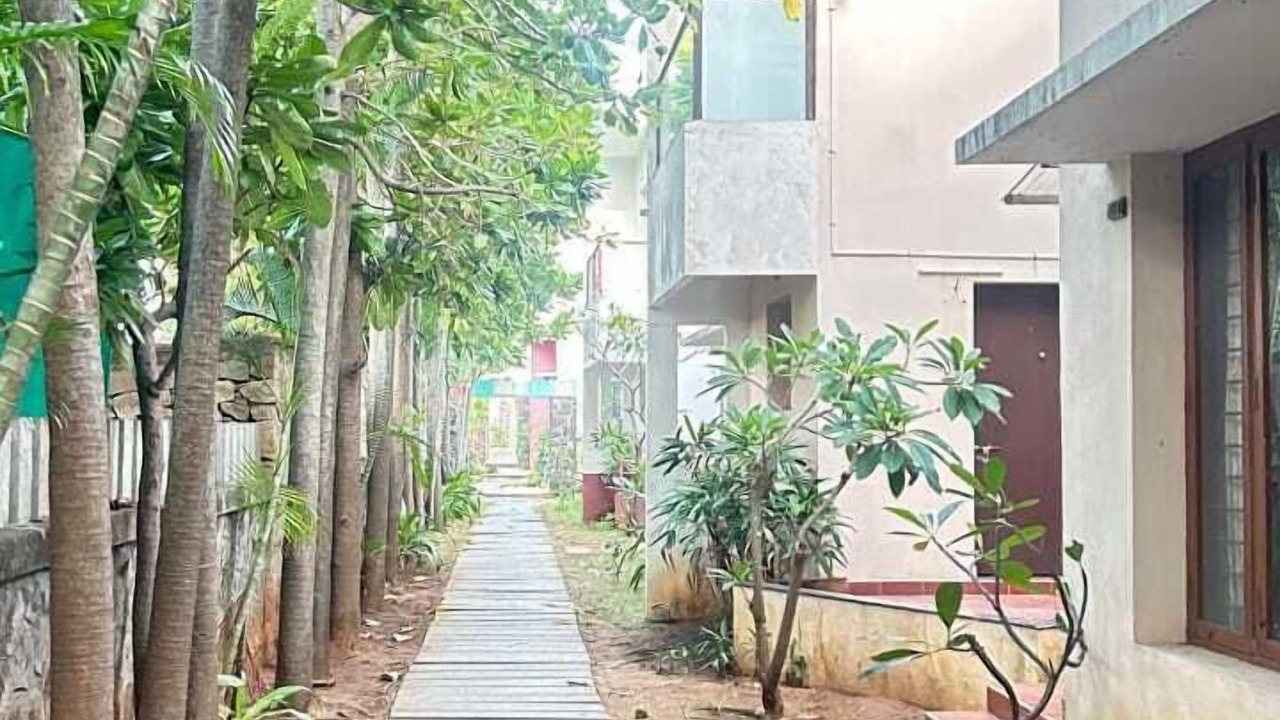 Photo of Outdoor in Mandavi