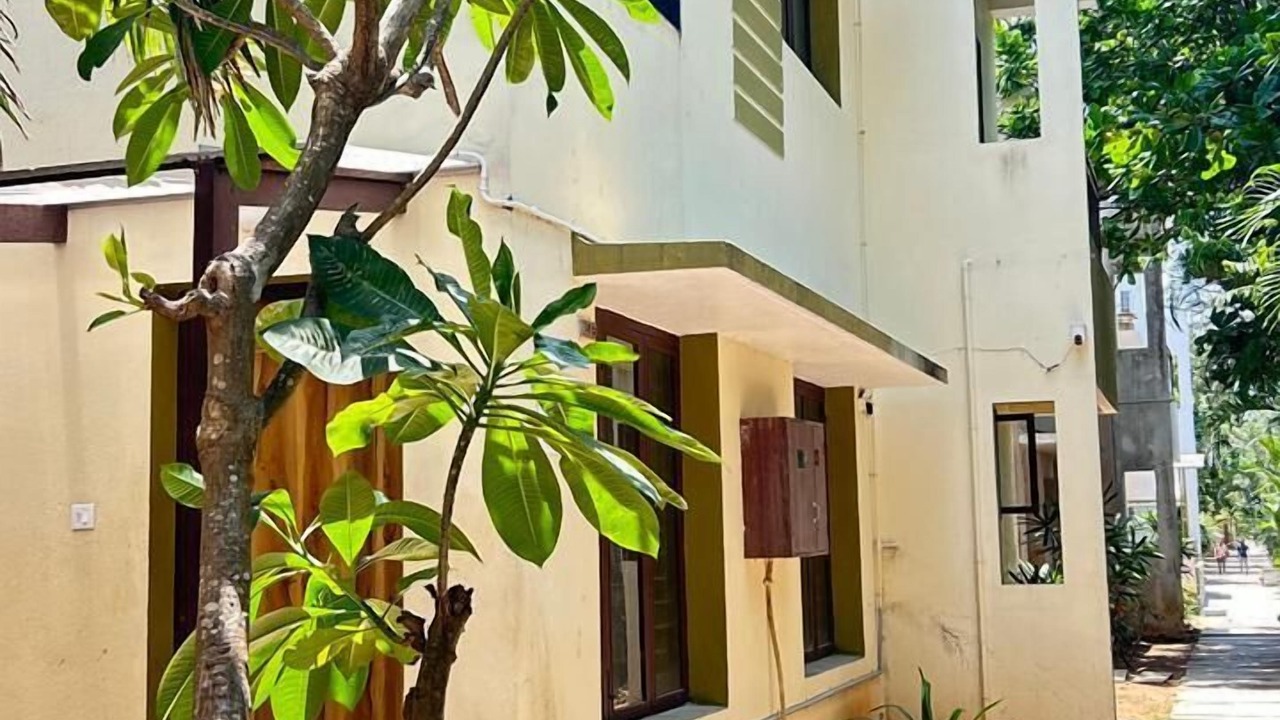 Photo of Outdoor in Mandavi