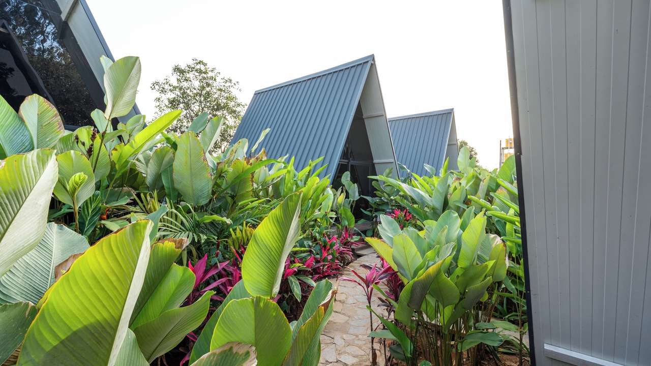 Photo of Outdoor in Narasapura