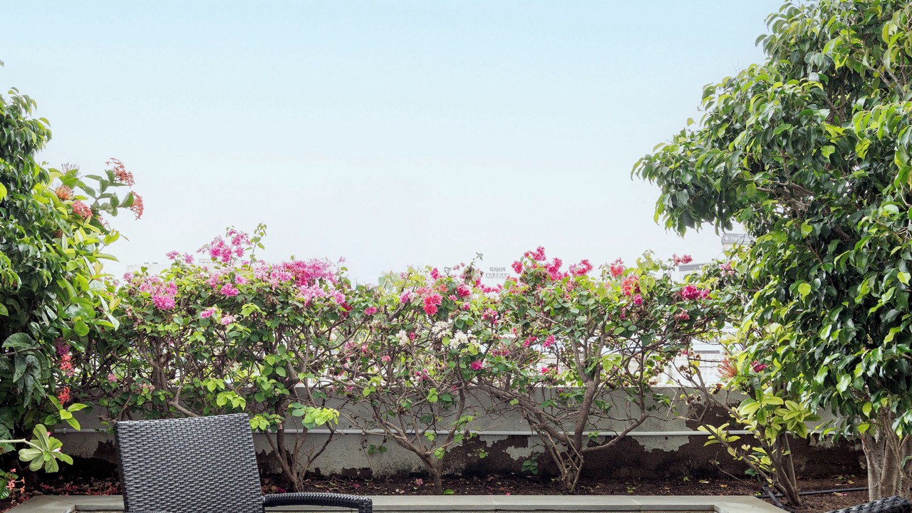 Photo of Patio Balcony in Rameshwaram