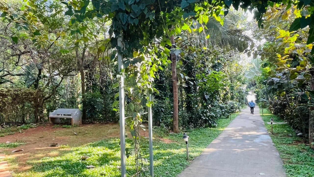 Photo of Outdoor in Krishnarajasagar
