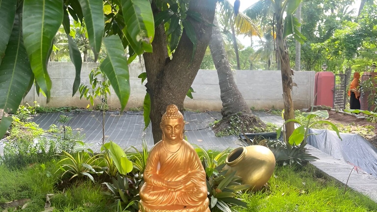 Photo of Outdoor in Chittur