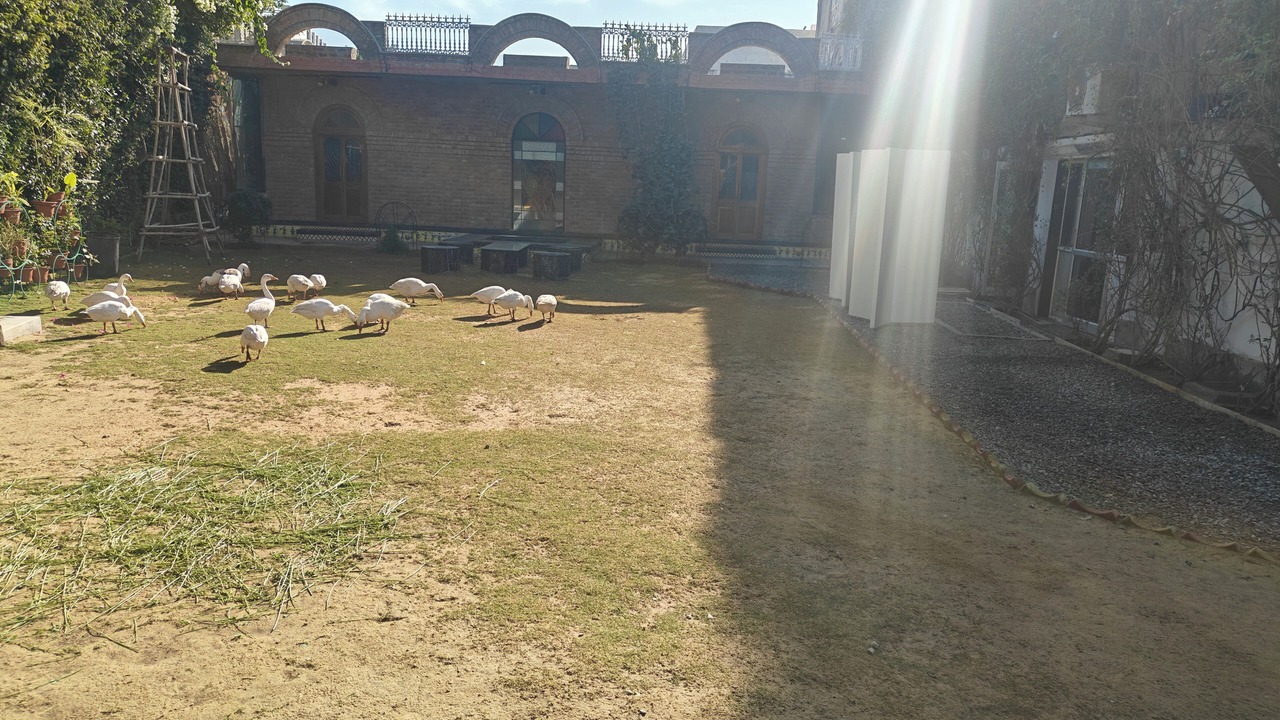 Photo of Outdoor in Ajmer