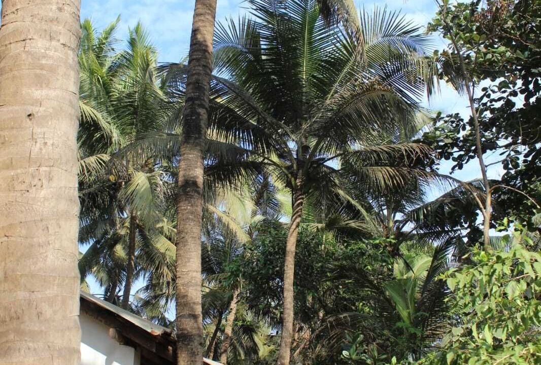 Photo of Outdoor in Gokarna