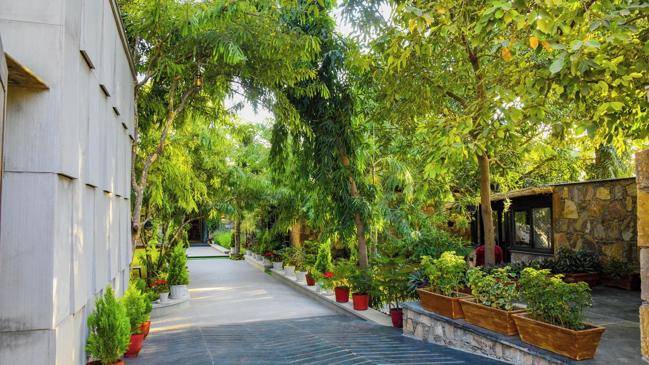 Photo of Outdoor in Pushkar