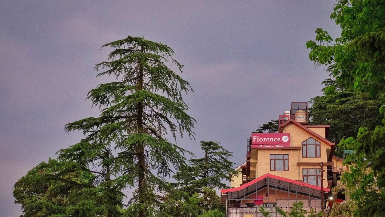 Photo of Outdoor in Shimla