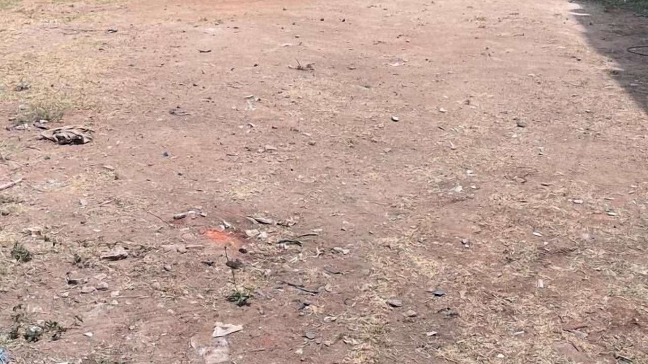 Photo of Others in Tiruvannamalai