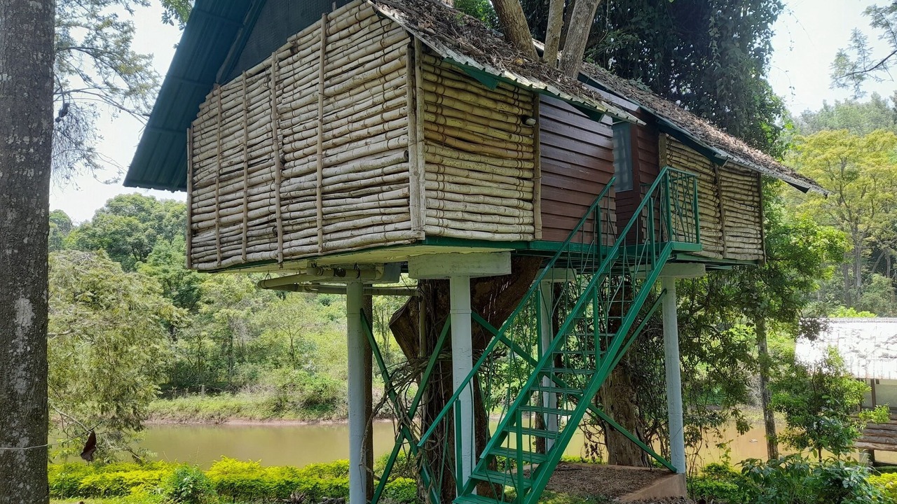 Photo of Patio Balcony in Talakad