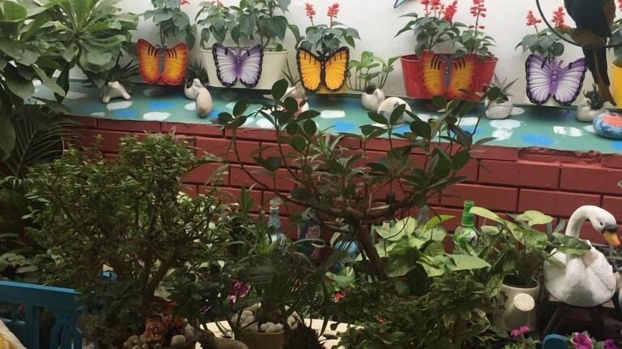 Photo of Outdoor in Safdarjung Enclave