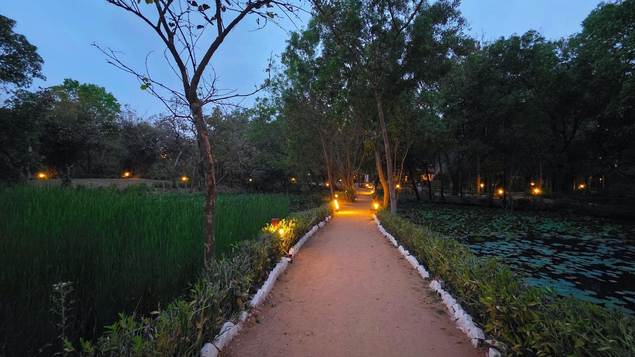 Photo of Outdoor in Tala