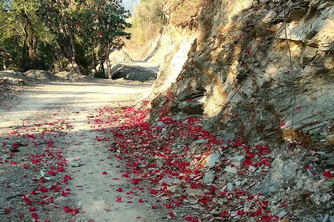 Photo of Outdoor in Naina Range