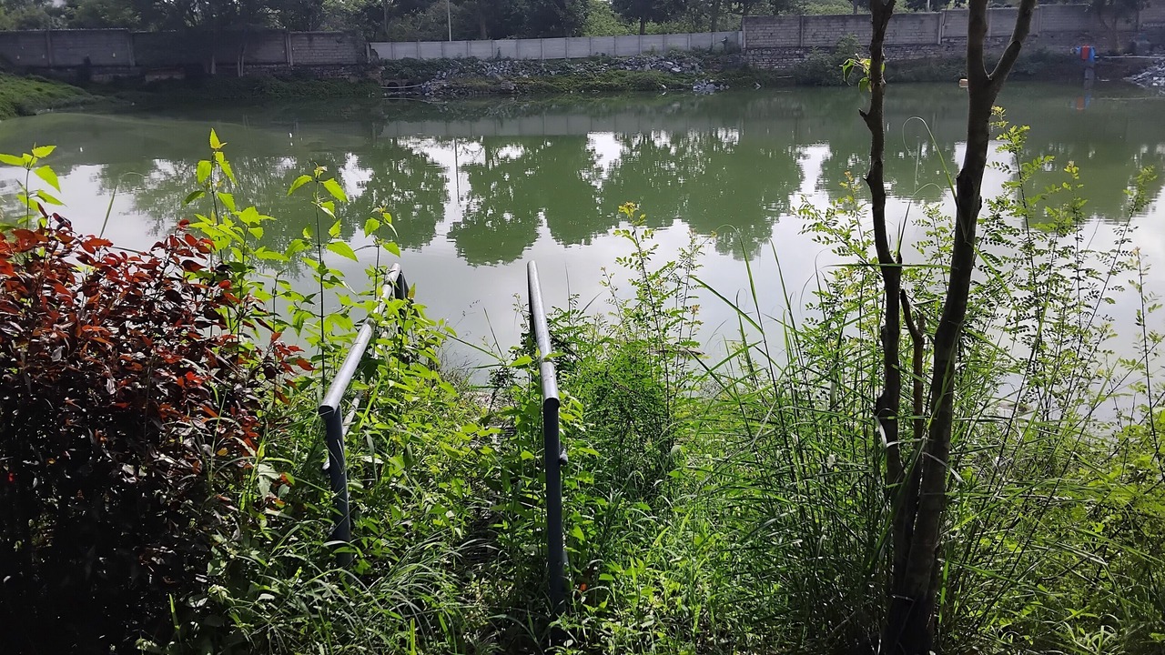 Photo of Outdoor in Hassan