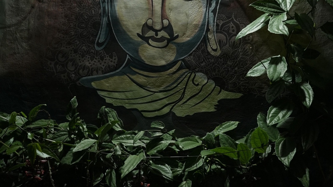 Photo of Outdoor in Ramakkalmedu