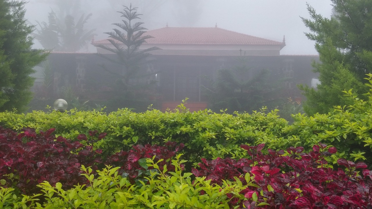 Photo of Outdoor in Dindigul