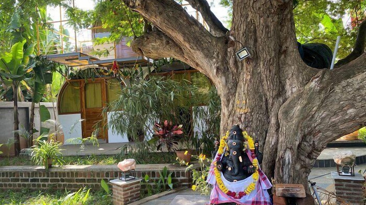 Photo of Outdoor in Auroville
