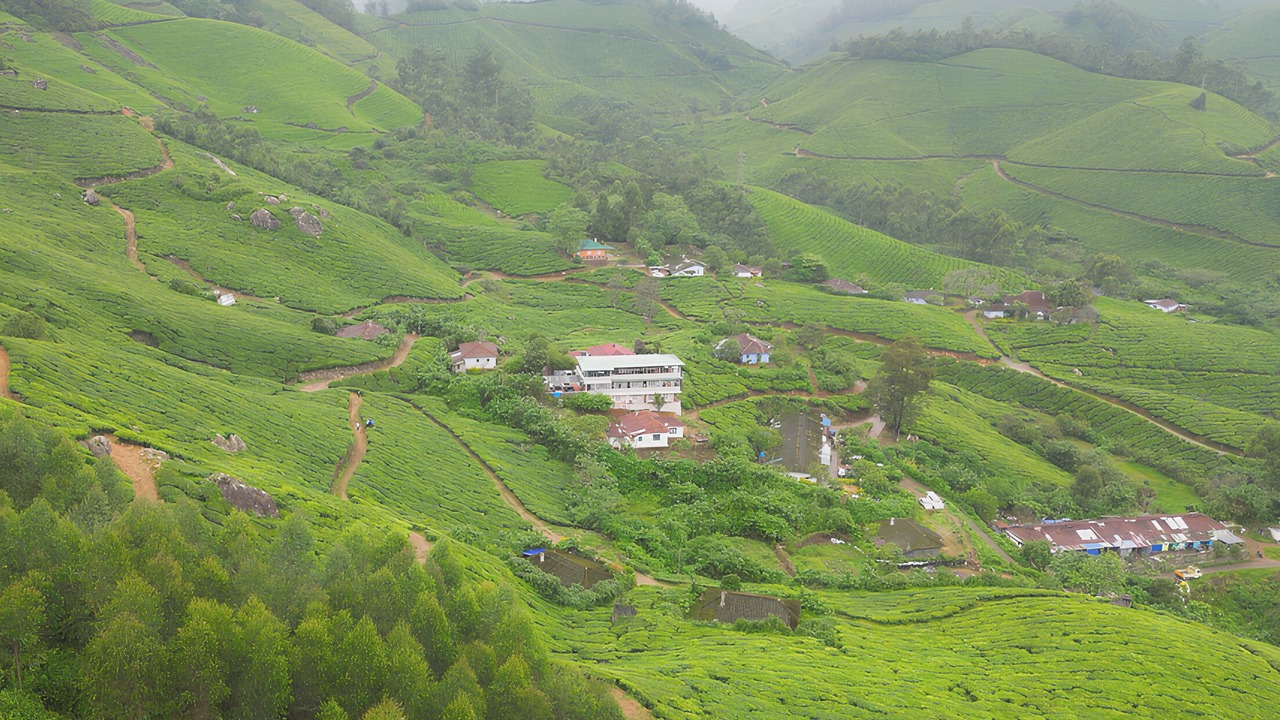 Photo of Outdoor in Moolakadai