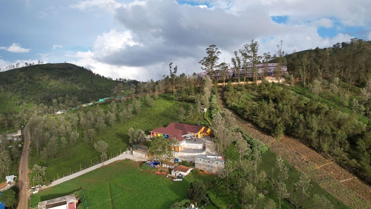 Photo of Outdoor in Wellington