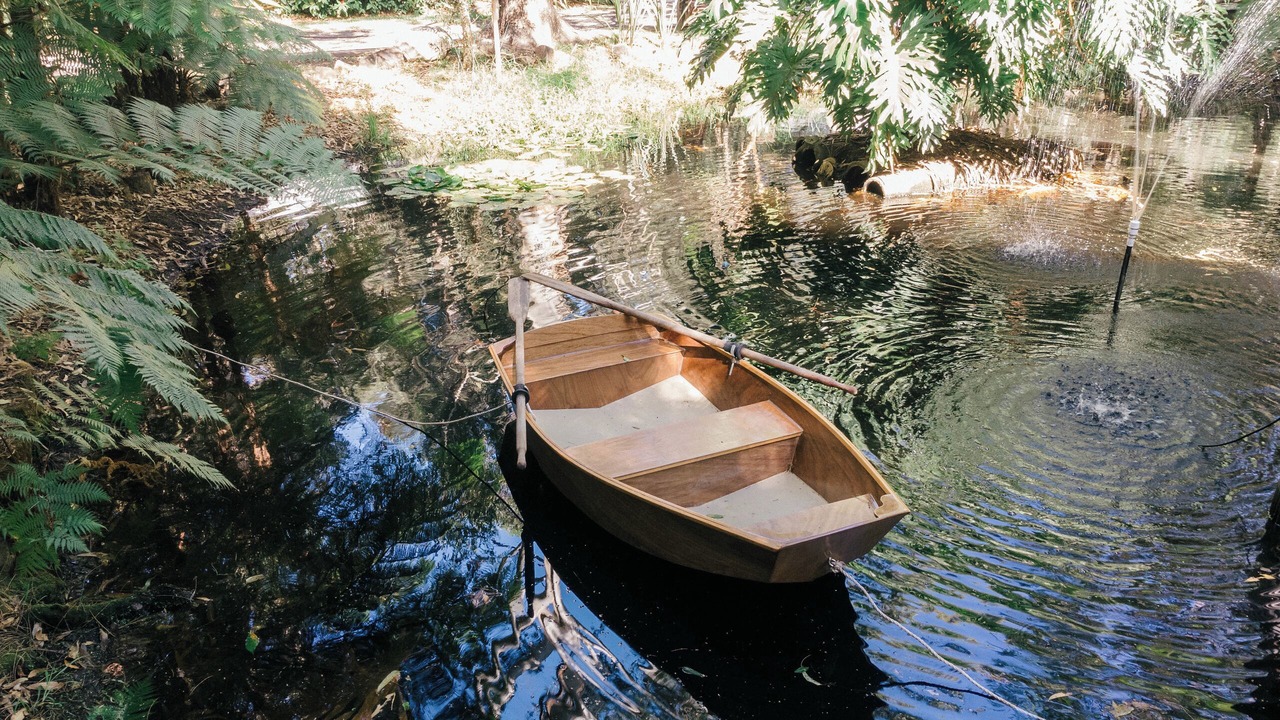 Photo of Outdoor in Boat Harbour